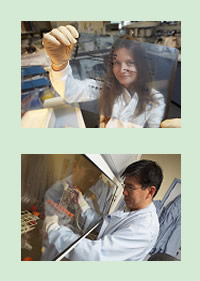 Cardiovascular Research at the University of Cambridge
