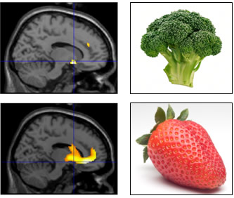 Metabolic and cardiovascular diseases
