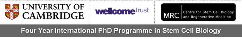 University of Cambridge, Four Year International PhD Programme in Stem Cell Biology