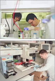 Students at the Sanger Institute Students in the Lab