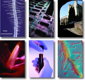 Complexity Science