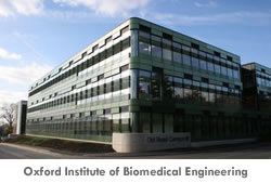 Oxford Institute of Biomedical Engineering