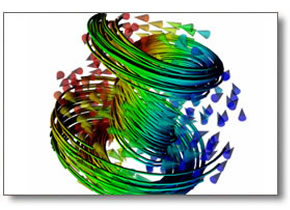 Complex Systems Simulation