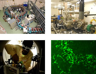 Next Generation Accelerator Research