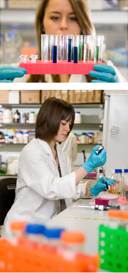 University of Glasgow, in vivo Mammalian Physiology/Pharmacology 4 Year PhD Programme