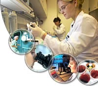 Medical University of Graz, Molecular Medicine & Molecular Inflammation PhD Program