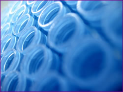 Cardiovascular research: Experimental techniques