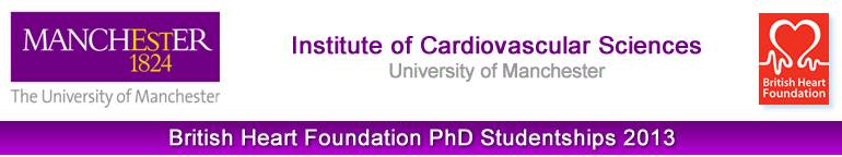 University of Manchester, British Heart Foundation 4-Year PhD Studentships