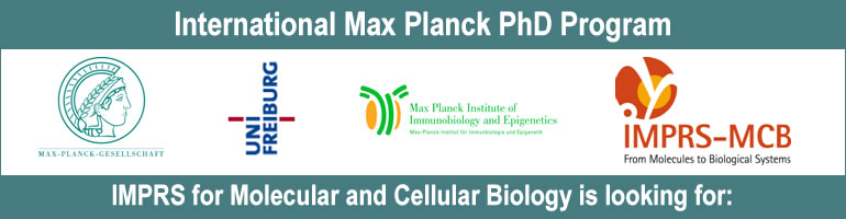 IMPRS, PhD programme in Cell biology, Epigenetics & Immunobiology
