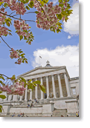 University College London PhD Training