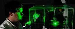 Apply Online for University of Edinburgh Studentships