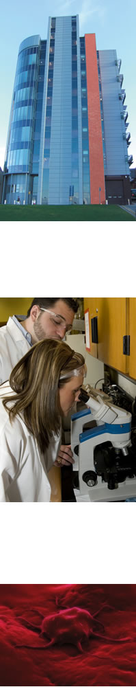 Postgraduate Cancer Research Training