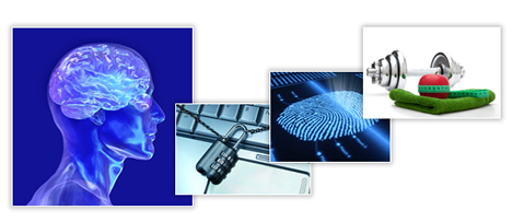 PhD Research at Northumbria University