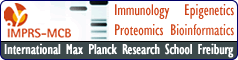 Max Planck featured PhD opportunities