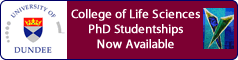 University of Dundee featured PhD opportunities