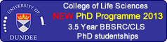 University of Dundee featured PhD opportunities