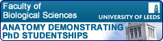 University of Leeds featured PhD opportunities