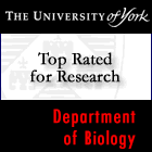 University of York Featured PhD Courses