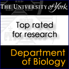 University of York Featured PhD Programmes